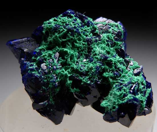 Azurite with Malachite from Milpillas Mine, Cuitaca, Sonora, Mexico [db_pics/pics/tu152b.jpg]
