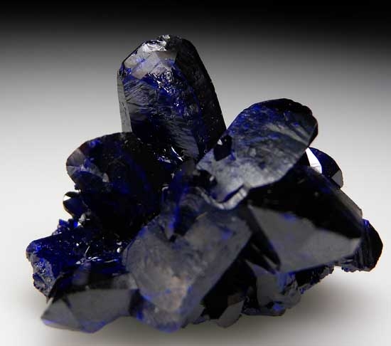 Azurite with Malachite from Milpillas Mine, Cuitaca, Sonora, Mexico [db_pics/pics/tu157a.jpg]