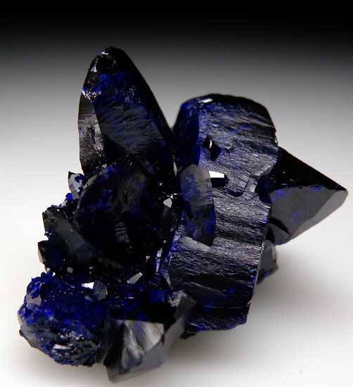 Azurite with Malachite from Milpillas Mine, Cuitaca, Sonora, Mexico [db_pics/pics/tu157c.jpg]