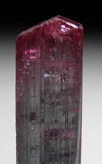 Elbaite from Coronel Murta, Minas Gerais, Brazil [db_pics/pics/tu168b.jpg]