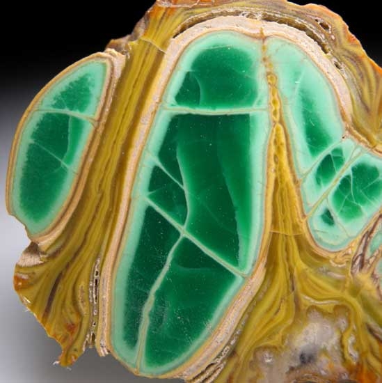 Variscite with Crandallite from Clay Canyon, Fairfield, Utah [db_pics/pics/tu179b.jpg]