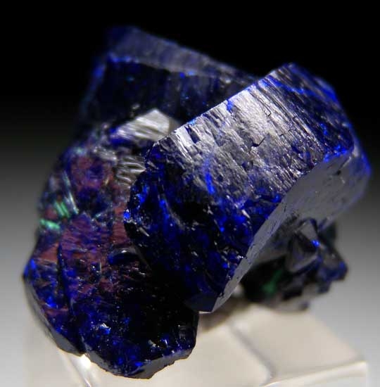 Azurite with Malachite from Milpillas Mine, Cuitaca, Sonora, Mexico [db_pics/pics/tu181b.jpg]