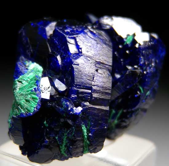 Azurite from Milpillas Mine, Cuitaca, Sonora, Mexico [db_pics/pics/tu185a.jpg]