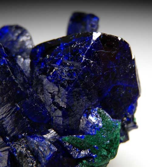 Azurite with Malachite from Milpillas Mine, Cuitaca, Sonora, Mexico [db_pics/pics/tu190c.jpg]