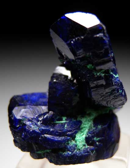 Azurite from Milpillas Mine, Cuitaca, Sonora, Mexico [db_pics/pics/tu192b.jpg]