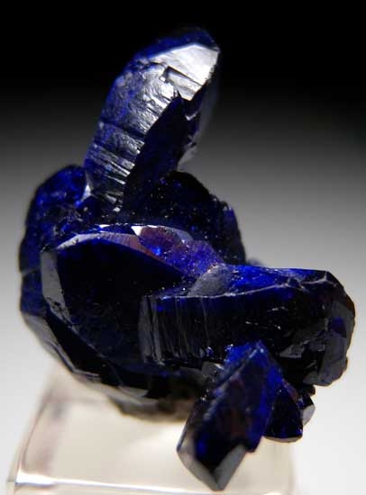 Azurite from Milpillas Mine, Cuitaca, Sonora, Mexico [db_pics/pics/tu192c.jpg]