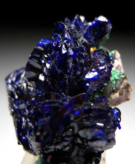 Azurite from Milpillas Mine, Cuitaca, Sonora, Mexico [db_pics/pics/tu194c.jpg]