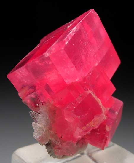 Rhodochrosite from Sweet Home Mine, Alma, Colorado [db_pics/pics/tu203c.jpg]