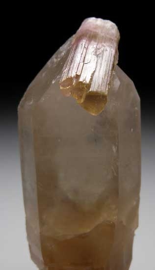 Tourmaline on Quartz from Himalaya Mine, Mesa Grande, San Diego Co., California [db_pics/pics/tu215b.jpg]
