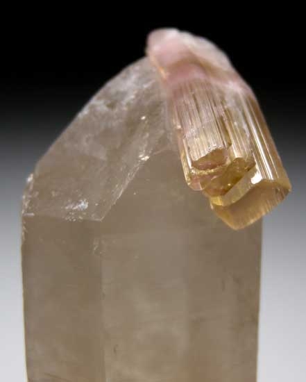 Tourmaline on Quartz from Himalaya Mine, Mesa Grande, San Diego Co., California [db_pics/pics/tu215c.jpg]