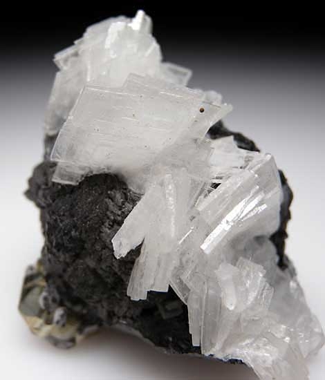 Wurtzite with Barite and Pyrite from Huanzala Mine, Peru [db_pics/pics/tu25b.jpg]