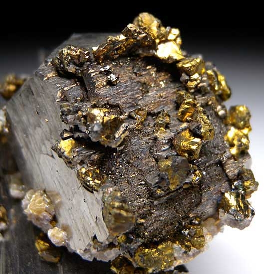 Chalcopyrite on Arsenopyrite with Ferberite from Yaogangxian Mine, Hunan, China [db_pics/pics/tu33c.jpg]