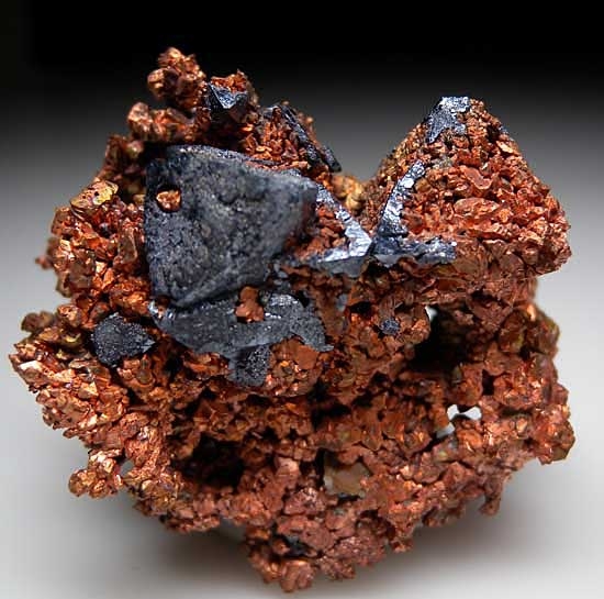 Cuprite on Copper from Poteryaevskoe Mine, Rubtsovskoe Deposit, Western Siberia, Russia [db_pics/pics/tu71a.jpg]