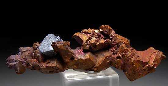 Cuprite on Copper from Poteryaevskoe Mine, Rubtsovskoe Deposit, Western Siberia, Russia [db_pics/pics/tu72a.jpg]