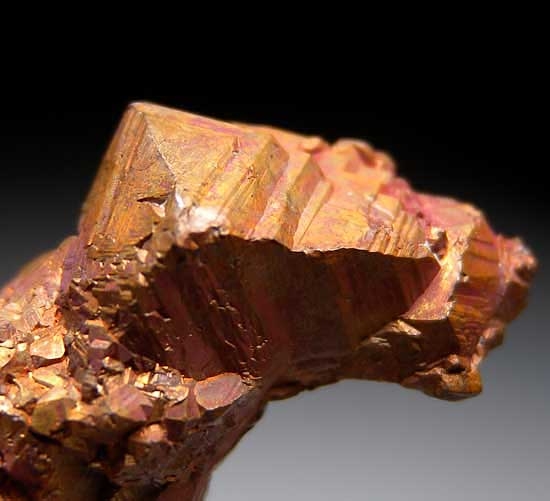 Cuprite on Copper from Poteryaevskoe Mine, Rubtsovskoe Deposit, Western Siberia, Russia [db_pics/pics/tu72b.jpg]