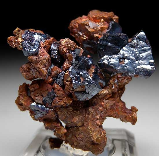 Cuprite on Copper from Poteryaevskoe Mine, Rubtsovskoe Deposit, Western Siberia, Russia [db_pics/pics/tu75a.jpg]