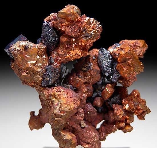 Cuprite on Copper from Poteryaevskoe Mine, Rubtsovskoe Deposit, Western Siberia, Russia [db_pics/pics/tu75b.jpg]