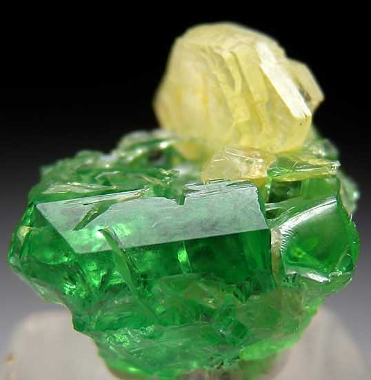 Prehnite 0n Tsavorite from Merelani Hills, Lelatema Mountains, Arusha Region, Tanzania [db_pics/pics/tu98a.jpg]