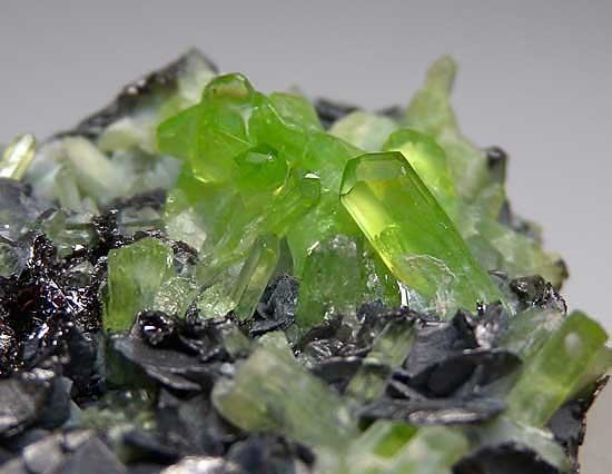 Diopside on Graphite from Merelani Hills, Arusha, Tanzania [db_pics/pics/tz121d.jpg]
