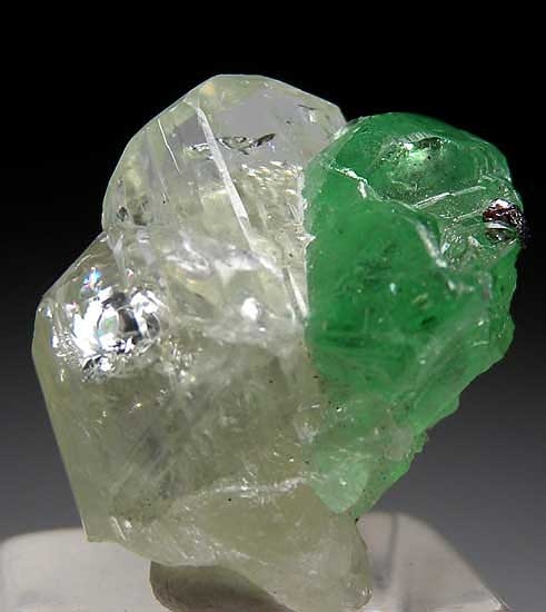 Tsavorite with Diopside from Merelani Hills, Arusha, Tanzania [db_pics/pics/tz122b.jpg]