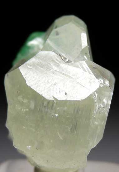 Tsavorite with Diopside from Merelani Hills, Arusha, Tanzania [db_pics/pics/tz122d.jpg]