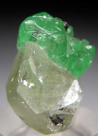 Tsavorite with Diopside from Merelani Hills, Arusha, Tanzania [db_pics/pics/tz122e.jpg]