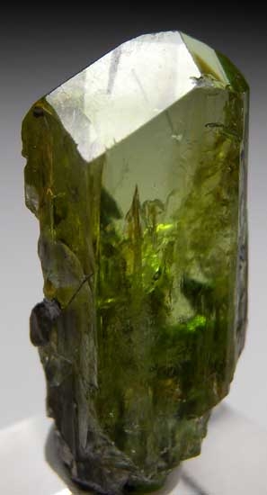 Diopside with Graphite from Merelani Hills, Arusha, Tanzania [db_pics/pics/tz131b.jpg]