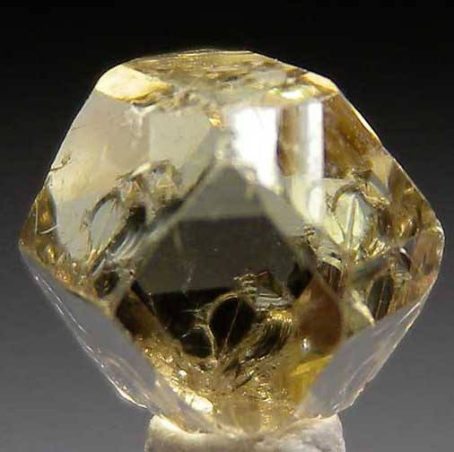 Grossular from Merelani Hills, Arusha, Tanzania [db_pics/pics/tz134a.jpg]