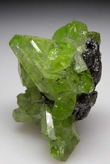 Diopside on Graphite from Merelani Hills, Arusha Region, Tanzania [db_pics/pics/tz148b.jpg]