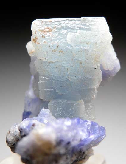 Prehnite over Tanzanite from Merelani Hills, Arusha Region, Tanzania [db_pics/pics/tz150b.jpg]