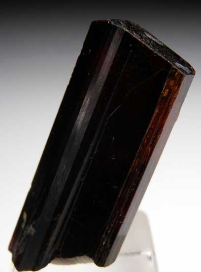 Dravite from Namalulu, Tanzania [db_pics/pics/tz162a.jpg]