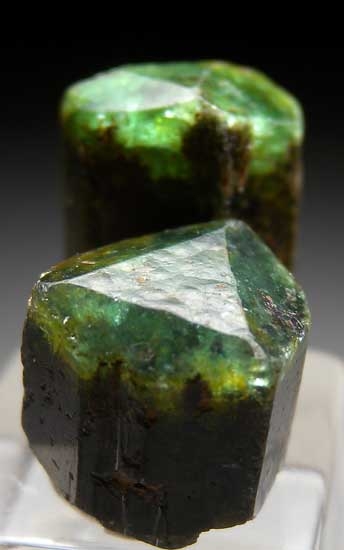 Dravite (2 crystals) from Namalulu, Tanzania [db_pics/pics/tz226c.jpg]