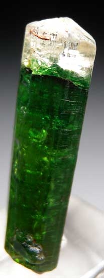 Dravite from Landanai, Tanzania [db_pics/pics/tz230b.jpg]