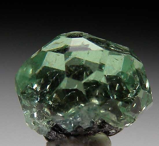 Tsavorite from Merelani Hills, Arusha, Tanzania [db_pics/pics/tz246b.jpg]