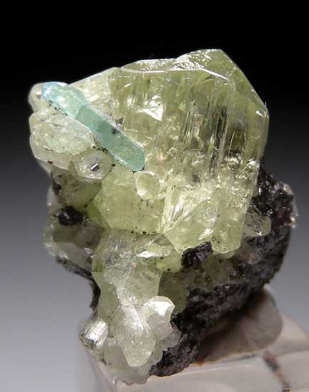Apatite on Diopside from Merelani Hills, Arusha, Tanzania [db_pics/pics/tz291a.jpg]