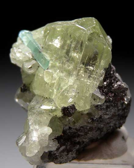 Apatite on Diopside from Merelani Hills, Arusha, Tanzania [db_pics/pics/tz291b.jpg]
