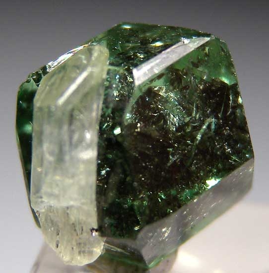 Diopside on Tsavorite from Merelani Hills, Arusha, Tanzania [db_pics/pics/tz313a.jpg]