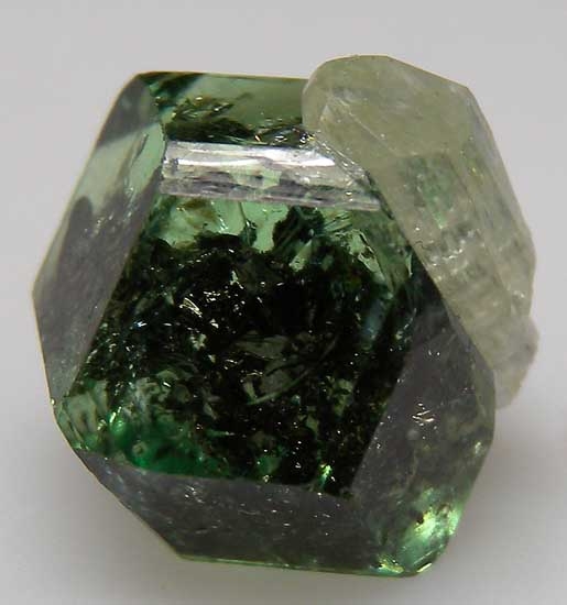 Diopside on Tsavorite from Merelani Hills, Arusha, Tanzania [db_pics/pics/tz313b.jpg]