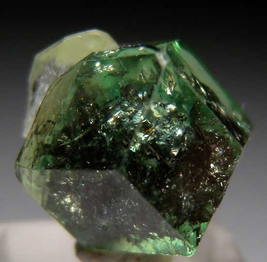 Diopside on Tsavorite from Merelani Hills, Arusha, Tanzania [db_pics/pics/tz313c.jpg]