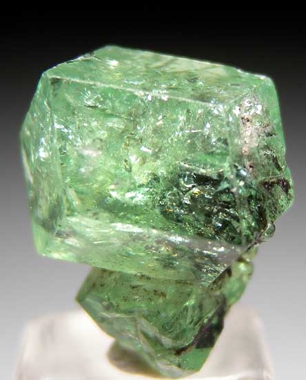 Tsavorite from Merelani Hills, Arusha, Tanzania [db_pics/pics/tz315b.jpg]