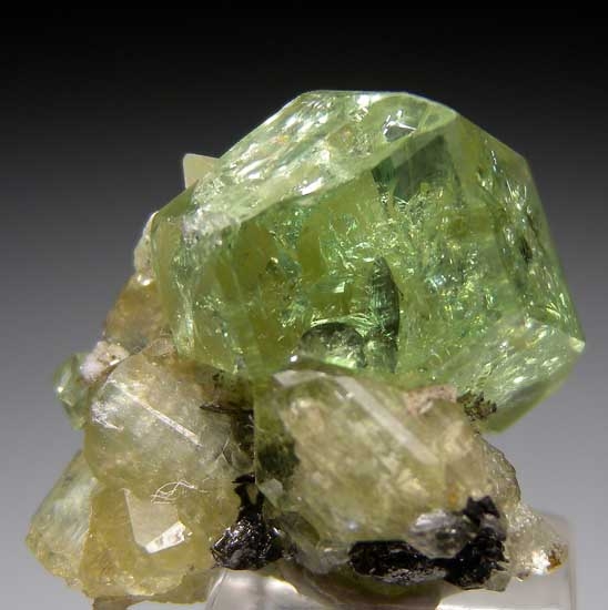 Tsavorite on Diopside from Merelani Hills, Arusha, Tanzania [db_pics/pics/tz318a.jpg]