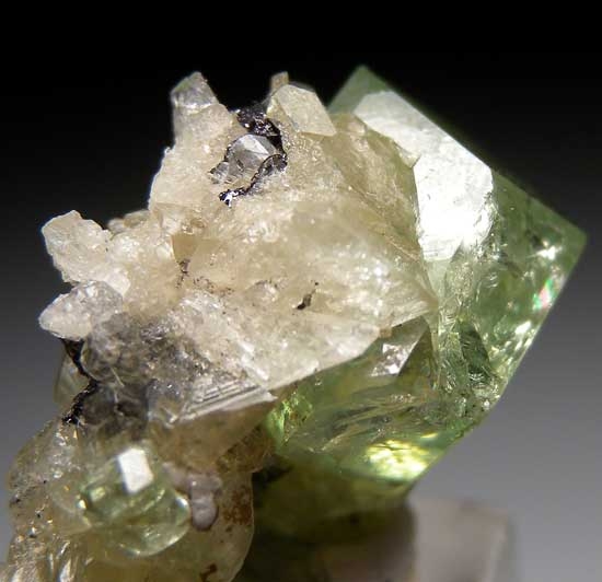 Tsavorite on Diopside from Merelani Hills, Arusha, Tanzania [db_pics/pics/tz318b.jpg]
