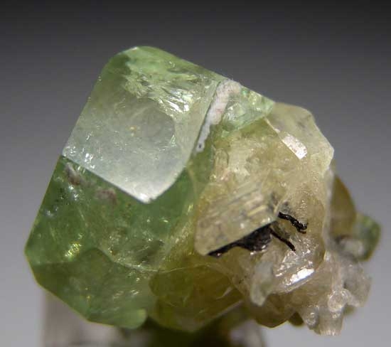 Tsavorite on Diopside from Merelani Hills, Arusha, Tanzania [db_pics/pics/tz318c.jpg]