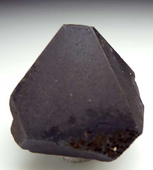 Alabandite from Merelani Hills, Arusha, Tanzania [db_pics/pics/tz331b.jpg]