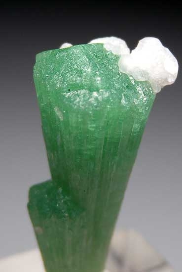Tourmaline from Merelani Hills, Arusha, Tanzania [db_pics/pics/tz365c.jpg]