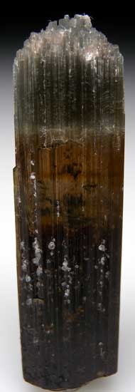 Dravite from Mwajanga, near Komolo, Tanzania [db_pics/pics/tz402a.jpg]