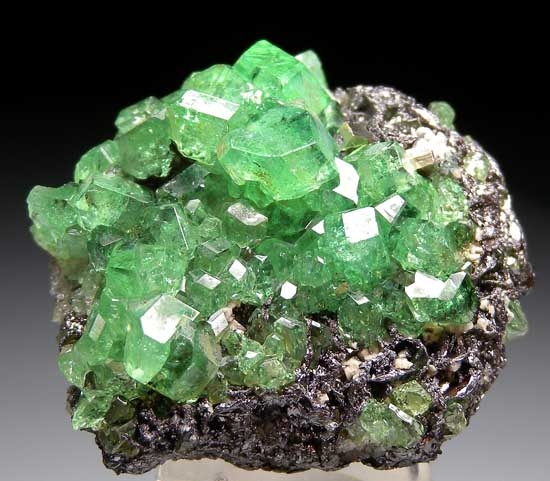Tsavorite on Graphite with Pyrite from Merelani Hills, Arusha, Tanzania [db_pics/pics/tz417a.jpg]