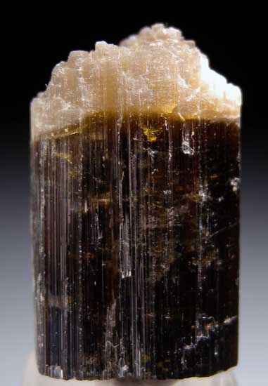 Dravite from Mwajanga, near Komolo, Tanzania [db_pics/pics/tz435a.jpg]