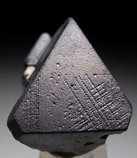 Alabandite from Merelani Hills, Arusha, Tanzania [db_pics/pics/tz492b.jpg]