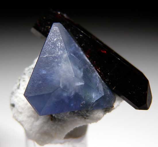 Benitoite with Neptunite from Gem Mine, San Benito Co., California [db_pics/pics/us113c.jpg]